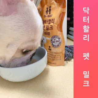닥터할리펫밀크 8종 — 5점을 준 리뷰어가 2020년 2월 올린 사용 사진