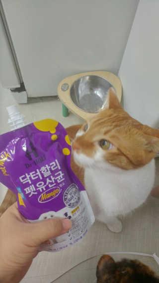 닥터할리펫밀크 8종 — 5점을 준 리뷰어가 2018년 10월 올린 사용 사진