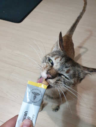 횬지님이 올린 리뷰 사진 3