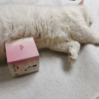 소뉴님이 올린 리뷰 사진 1