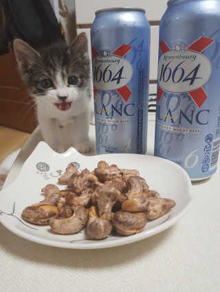 백현지님이 올린 리뷰 사진 1