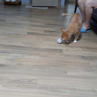 안뇽요님이 올린 리뷰 사진 4