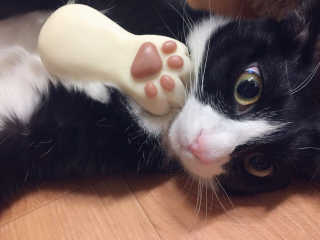 junghwa님이 올린 리뷰 사진 1