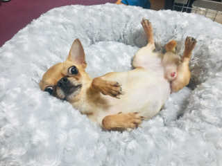 noname님이 올린 리뷰 사진 1