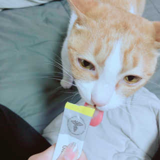 Honeyshop님이 올린 리뷰 사진 3