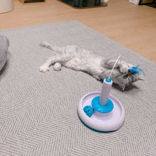 bee님이 올린 리뷰 사진 3