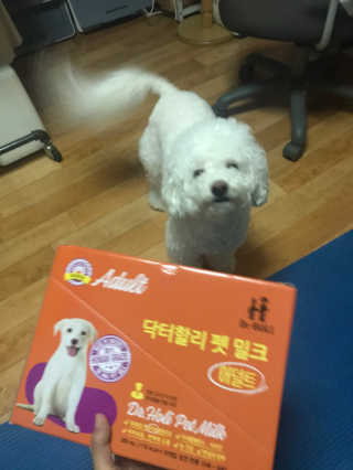 닥터할리펫밀크 8종 — 5점을 준 리뷰어가 2019년 5월 올린 사용 사진
