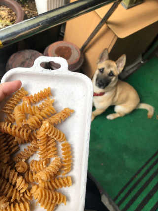 김로이님이 올린 리뷰 사진 3
