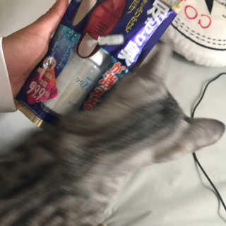 HoJunLee님이 올린 리뷰 사진 1
