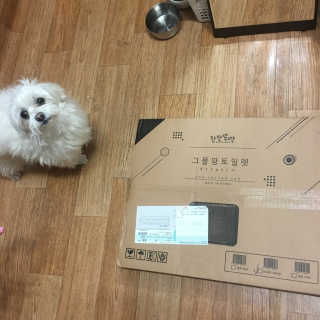 문수연님이 올린 리뷰 사진 2