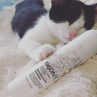 Kc_spice님이 올린 리뷰 사진 1