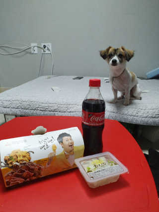 [치킨마루]-  빠사칸윙봉현미 + 콜라 500ml — 5점을 준 리뷰어가 2019년 7월 올린 사용 사진