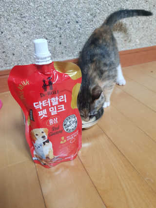 gajete님이 올린 리뷰 사진 2