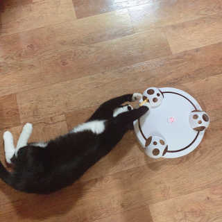 나르미르님이 올린 리뷰 사진 3