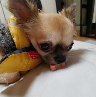 라임님이 올린 리뷰 사진 3