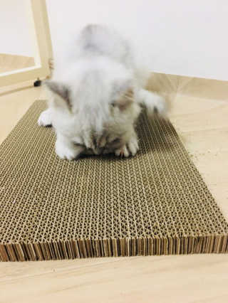 단발소녀님이 올린 리뷰 사진 4