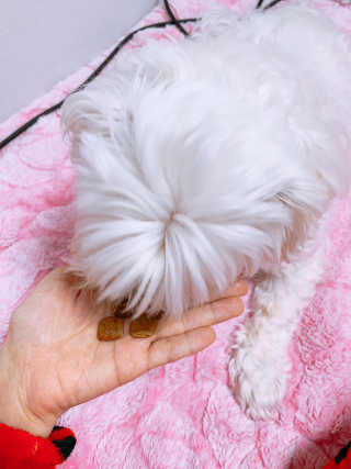 으니부기님이 올린 리뷰 사진 4