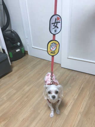 haeri님이 올린 리뷰 사진 3