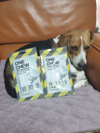 beaglelove님이 올린 리뷰 사진 1