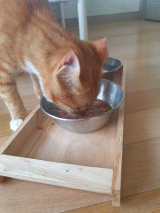 조소연님이 올린 리뷰 사진 3