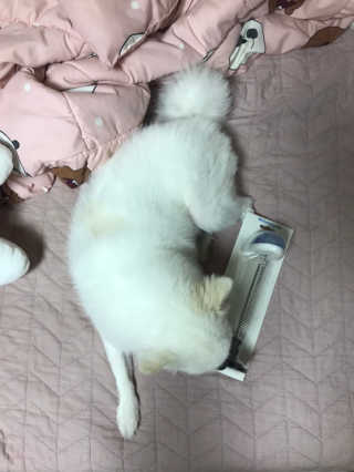 구름이엄마님이 올린 리뷰 사진 3