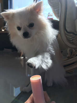 유진님이 올린 리뷰 사진 1