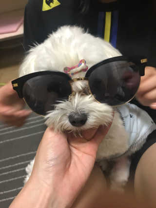 지비님이 올린 리뷰 사진 1