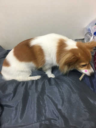 지나쒸님이 올린 리뷰 사진 3