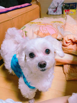 스라구님이 올린 리뷰 사진 2