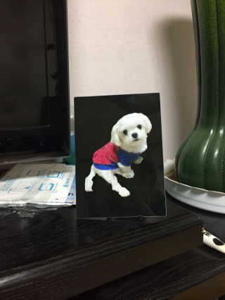김하은님이 올린 리뷰 사진 1