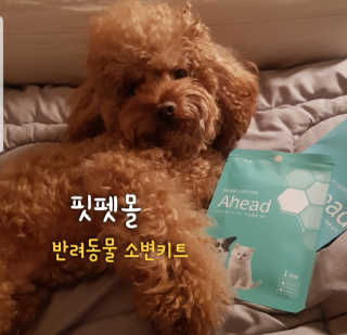 사랑해안시영님이 올린 리뷰 사진 1