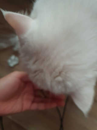 뺑수니님이 올린 리뷰 사진 1