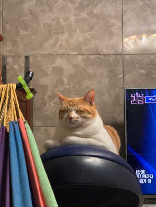 ollie님이 올린 리뷰 사진 1