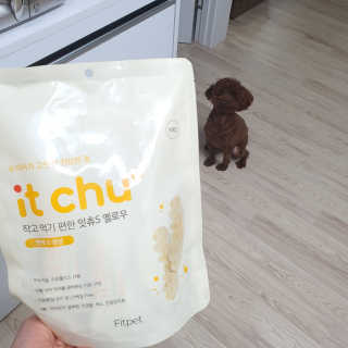 봄찌님이 올린 리뷰 사진 1