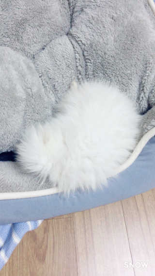 꾸눙맘님이 올린 리뷰 사진 3