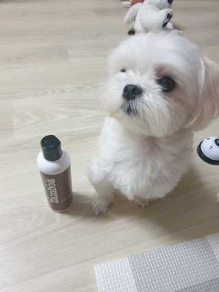 꼬물이님이 올린 리뷰 사진 3