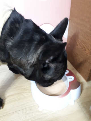 토르맘님이 올린 리뷰 사진 3