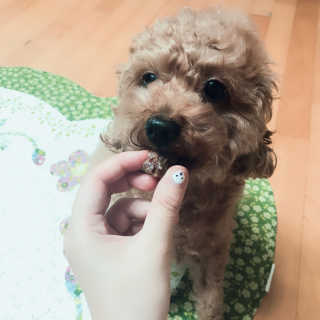 유나님이 올린 리뷰 사진 4