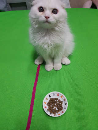 seri님이 올린 리뷰 사진 1