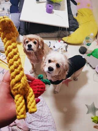 조소민님이 올린 리뷰 사진 1