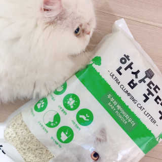 [펫토리아] BEST 고양이두부모래 6L 한삽뚝딱 — 4점을 준 리뷰어가 2019년 1월 올린 사용 사진