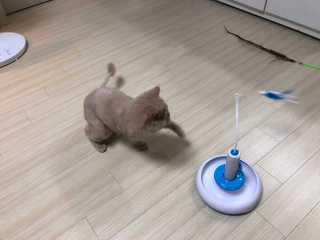 SolheeNamgoong님이 올린 리뷰 사진 3