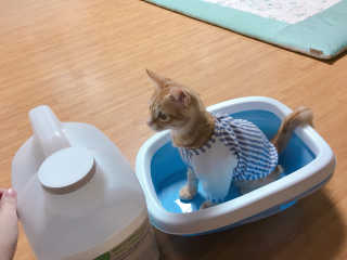 jiiiii님이 올린 리뷰 사진 1