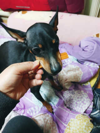 설아님이 올린 리뷰 사진 3