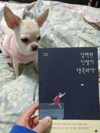 pobi님이 올린 리뷰 사진 2