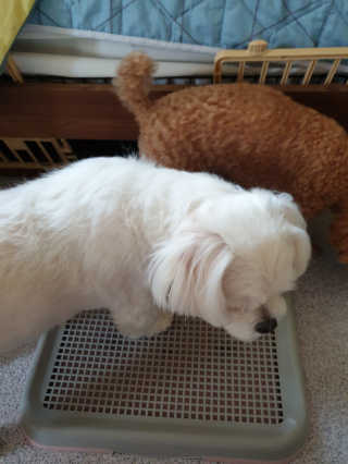 하승님이 올린 리뷰 사진 4