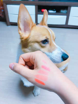 이희연님이 올린 리뷰 사진 4