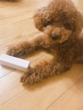 토끼줌마님이 올린 리뷰 사진 1