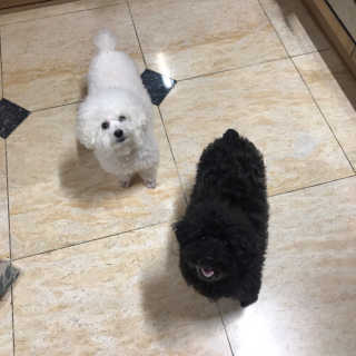 럭해님이 올린 리뷰 사진 3