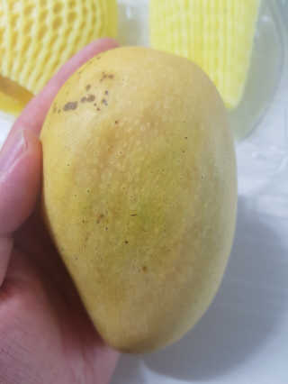 리터후원감사♡님이 올린 리뷰 사진 3